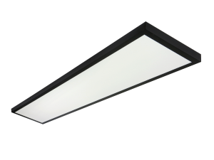 Panel Backlit 2in1 40W 4000K 4000LM 295x1195 Black LITE