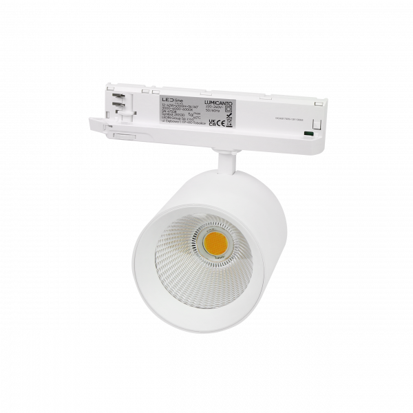 Track light LUMICANTO 12-42W CCT 36/60° white PRIME