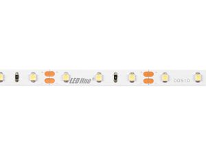 LED strip 300/5m SMD 12V 6500K 4,8W IP20 8mm 5m 480lm/m PRIME