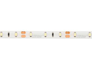 LED strip 300/5m SMD 12V 6500K 4,8W IP65 8mm 5m 480lm/m LITE
