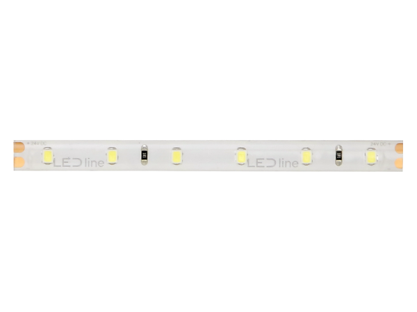 LED strip 300/5m SMD 24V 6500K 4,8W IP65 8mm 5m 480lm/m LITE