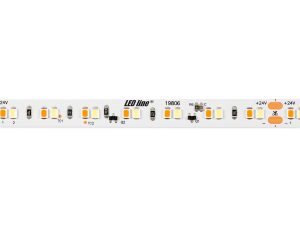 LED strip 350/5m SMD 24V 1600-6500K 12W IP20 DIM 10mm 5m 1140lm/m PRIME